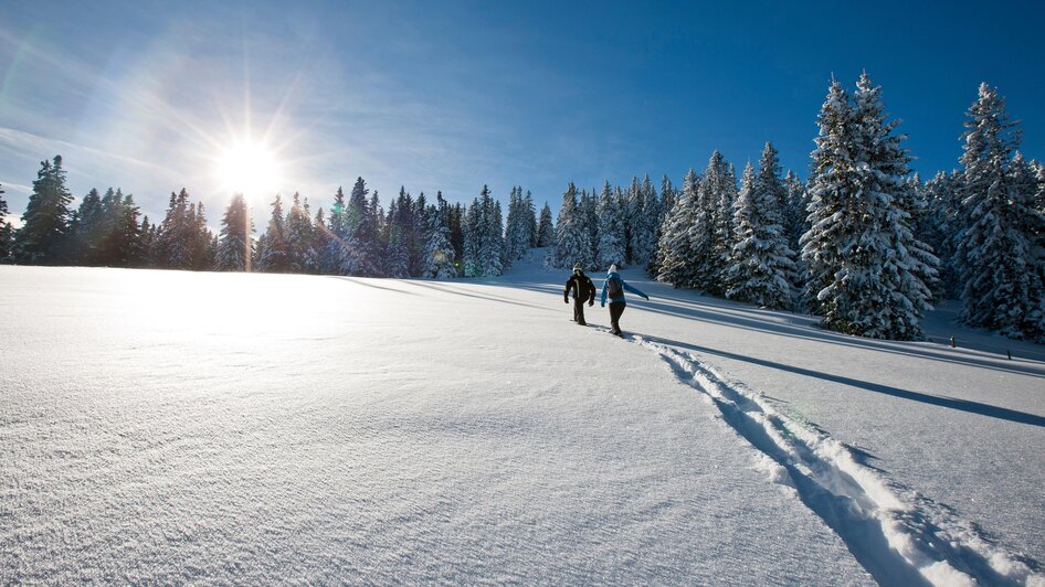 Skigebiet Salzstiegl - Impression #2.3