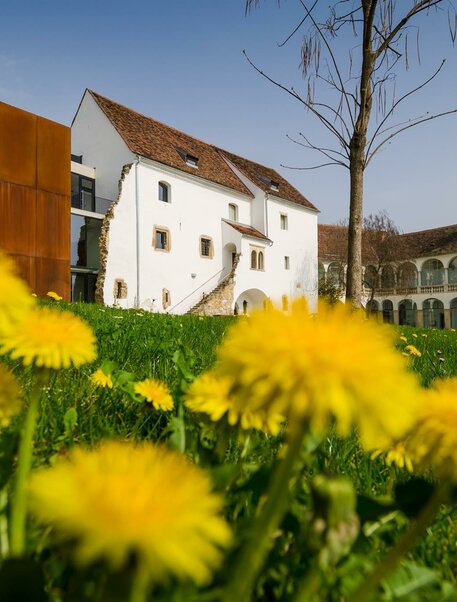 Schloss Hartberg_Blumen_Oststeiermark | Bernhard Bergmann | © Tourismusverband Oststeiermark