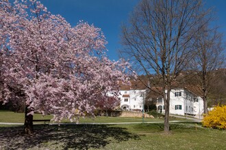 Hartberg castle park | © Bernhard Bergmann