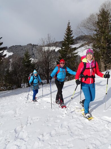 Schneeschuhwandern-Gaal-Murtal-Steiermark | © Weges | Weges | © Weges