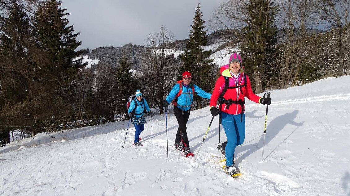 Schneeschuhwandern-Gaal-Murtal-Steiermark | © Weges