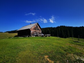 Sennhütte am Herrenboden | © TV Hochsteiermark / Brigitte Digruber