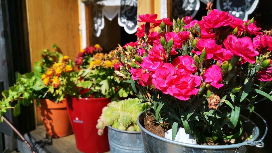 Blumenschmuck bei der Hütte | © TV Hochsteiermark / Brigitte Digruber