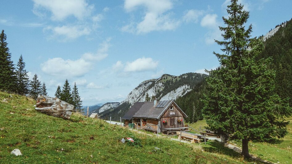 Die Ochsenbodenalm | © www.mariazell.blog