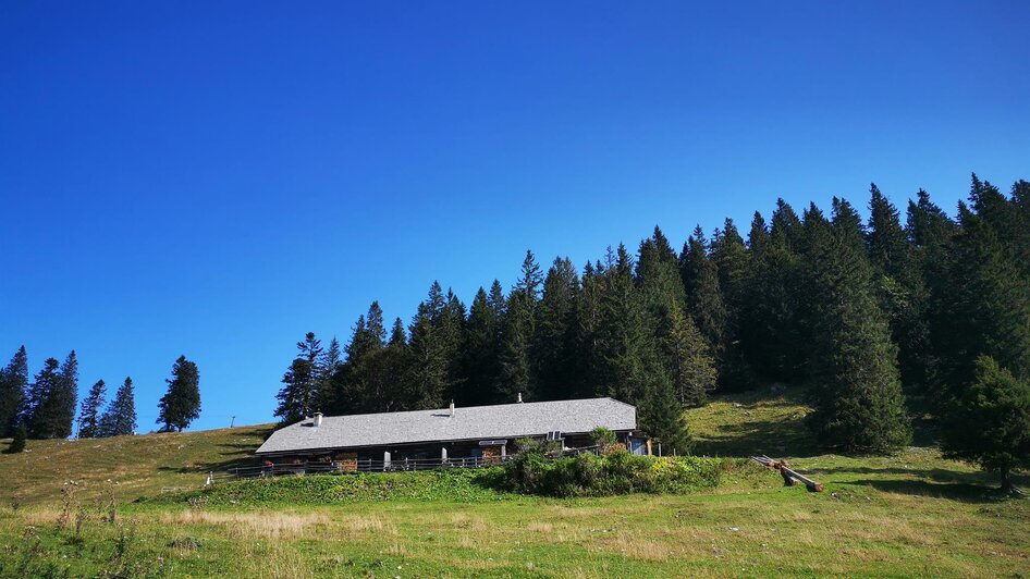 Wetterinalm | © TV Hochsteiermark / Brigitte Digruber