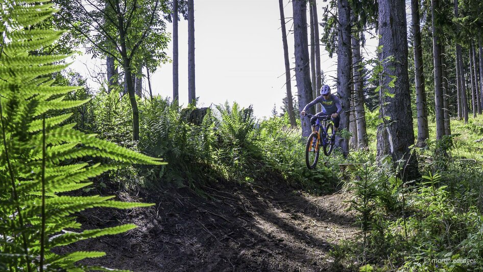 Brandwaldsteig-Singletrail1-Murtal-Steiermark | © Erlebnisregion Murtal