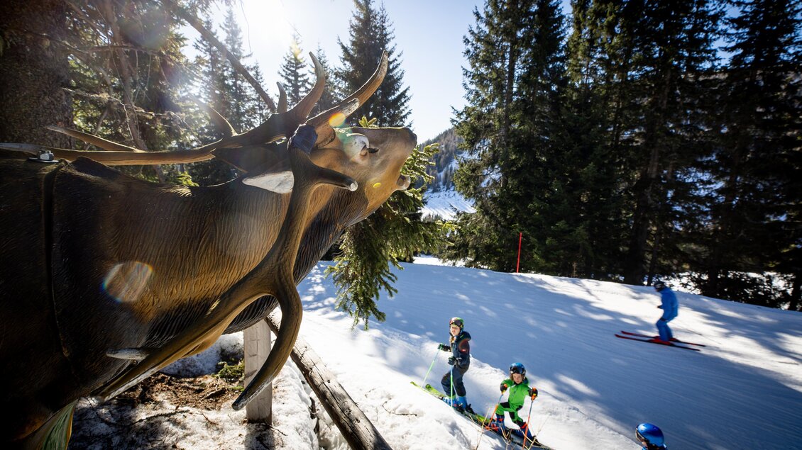 Eine schneebedeckte Landschaft mit skifahrenden Kindern und einem großen, anschaulichen Geweih im Vordergrund. Der Himmel ist klar und die Bäume umgeben die Szene. | © Lachtal-Lifte u. Seilbahnen GmbH