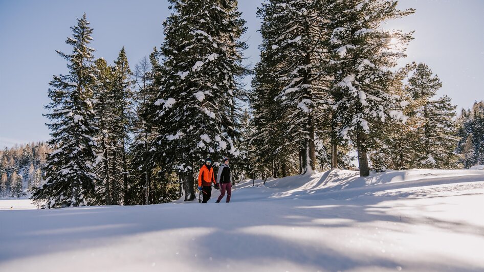 Winterwandern Turracher Höhe | © TMG Turracher Höhe Marketing GmbH