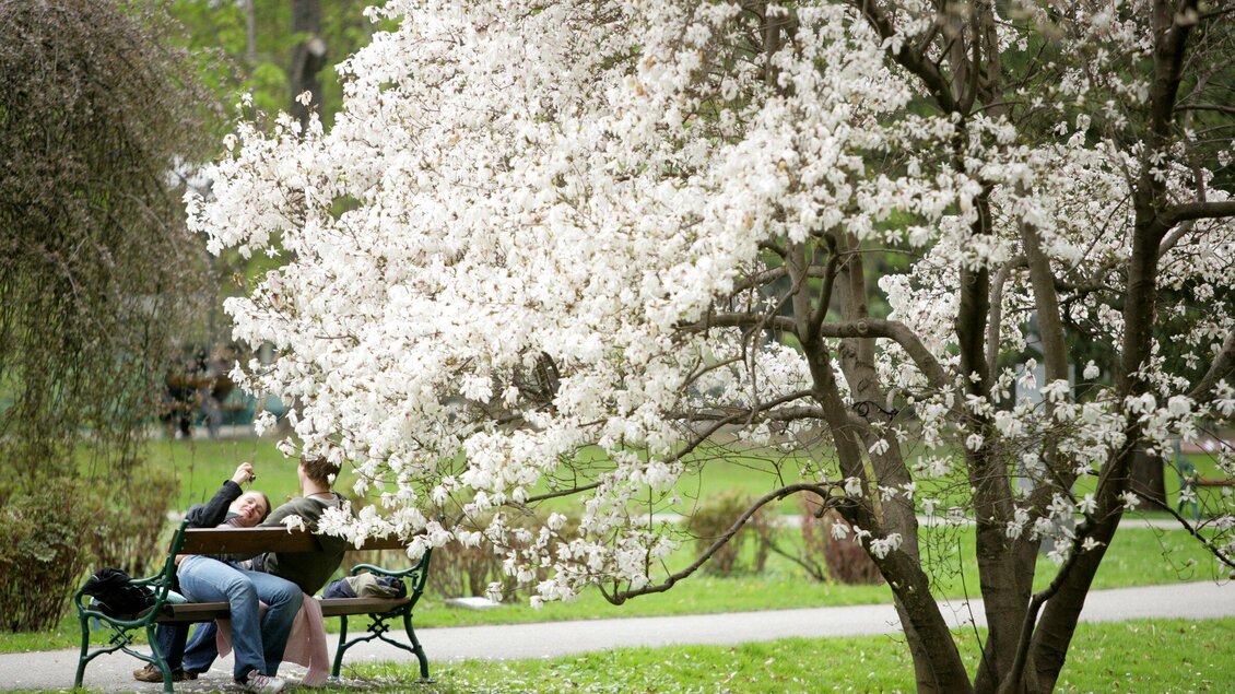 Stadtpark | © Graz Tourismus - Harry Schiffer