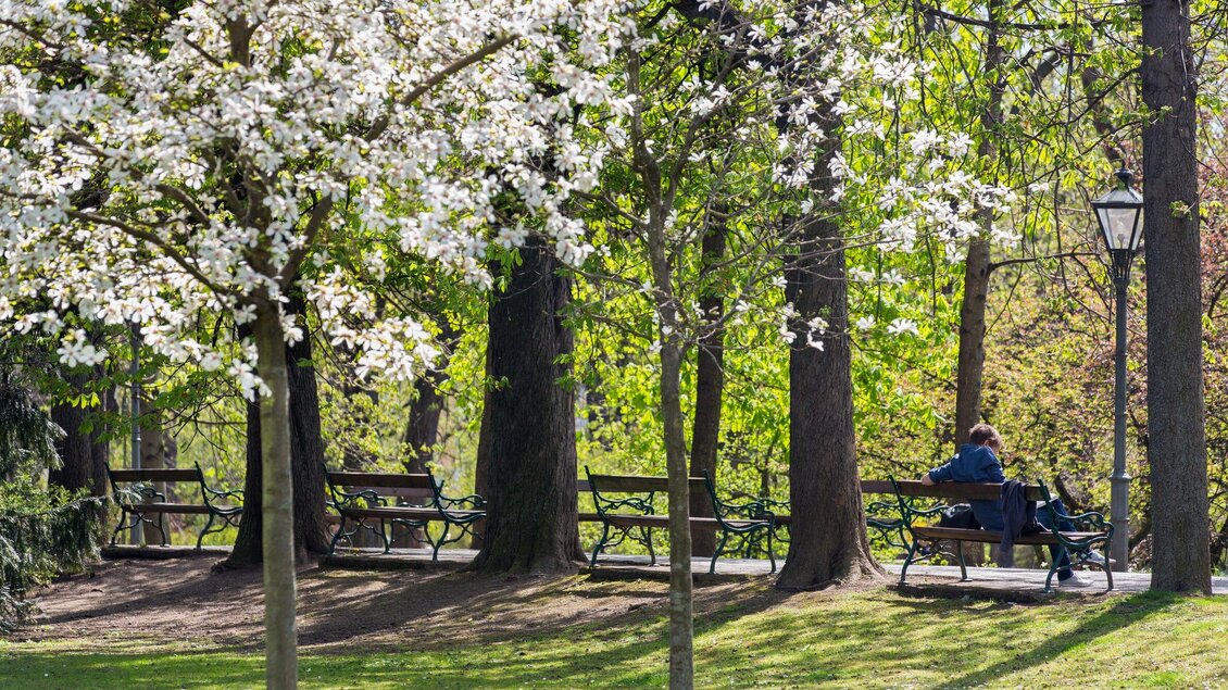 Stadtpark | © Graz Tourismus - Harry Schiffer