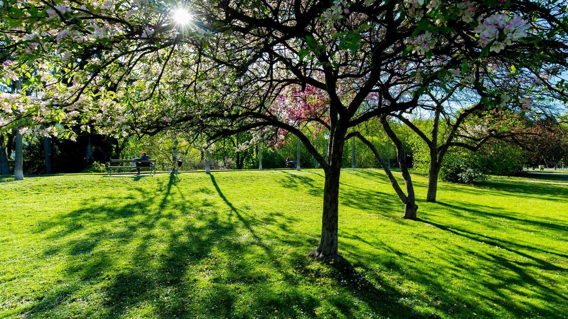 Stadtpark | © Graz Tourismus - Harry Schiffer