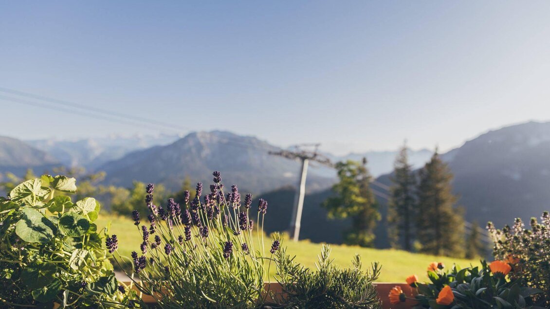 <p>Eine schöne Aussicht auf den Sarstein mit Kräutern und bunten Blumen im Vordergrund. Der Himmel ist klar und die Natur wirkt friedlich.</p> | © Krewenka