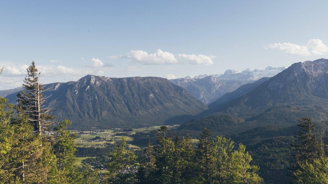 <p>Eine malerische Berglandschaft mit grünen Wäldern, der Blick reicht über den Ausseer Zinken zum Dachsteinmassiv. Der Himmel ist klar und die Berge erstrecken sich majestätisch im Hintergrund.</p> | © Krewenka