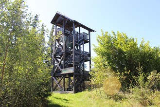 Stoani Weltturm_Aussichtsplattform_Almenland | © Oststeiermark Tourismus