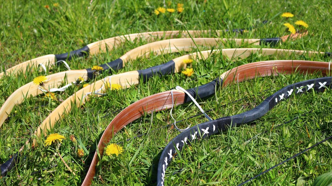 Eine Reihe von Schwertern liegt auf grünem Gras, umgeben von gelben Löwenzähnen. Die Bögen sind aus verschiedenen Materialien und haben unterschiedliche Farben.