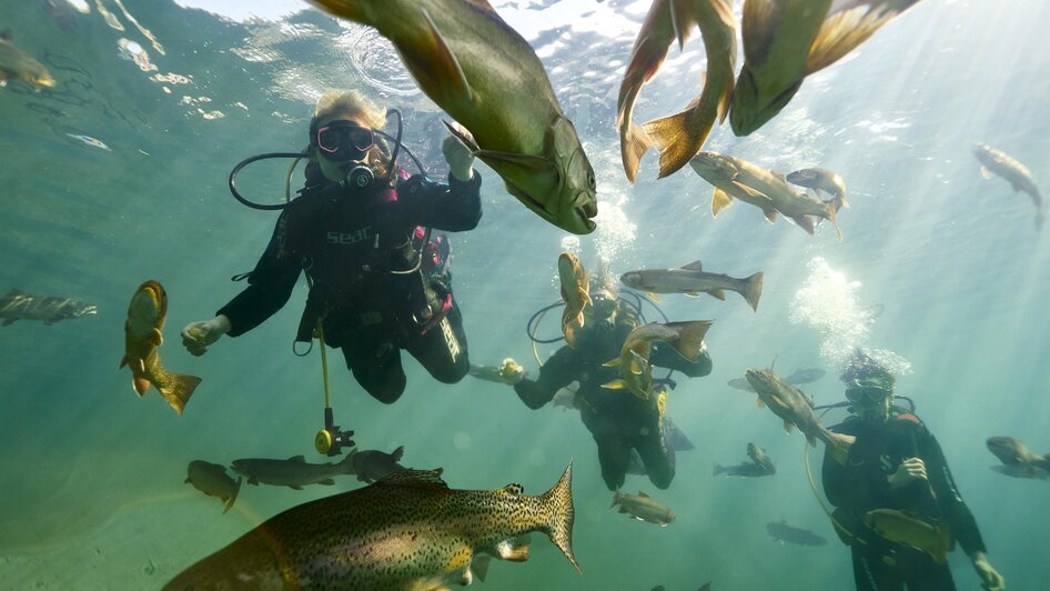 Fischbegegnung | ©  Susanne Einzenberger