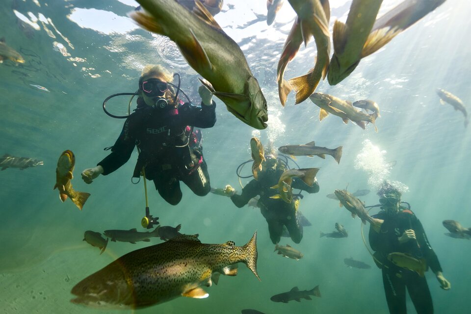 Diving company Alpenaquarium Grüblsee - Impression #1 | ©  Susanne Einzenberger