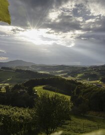 Thermenland Weinstraße bei Fehring | © Steiermark Tourismus | Atelier Jungwirth W. Schandor | © Steiermark Tourismus