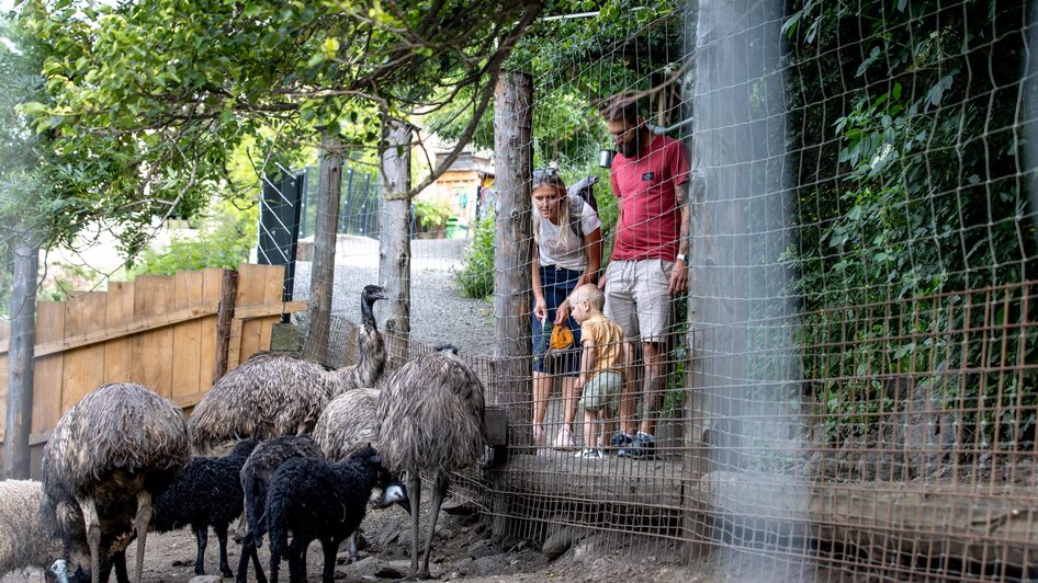 Familie beim Staunen | © Tourismusverband Murau