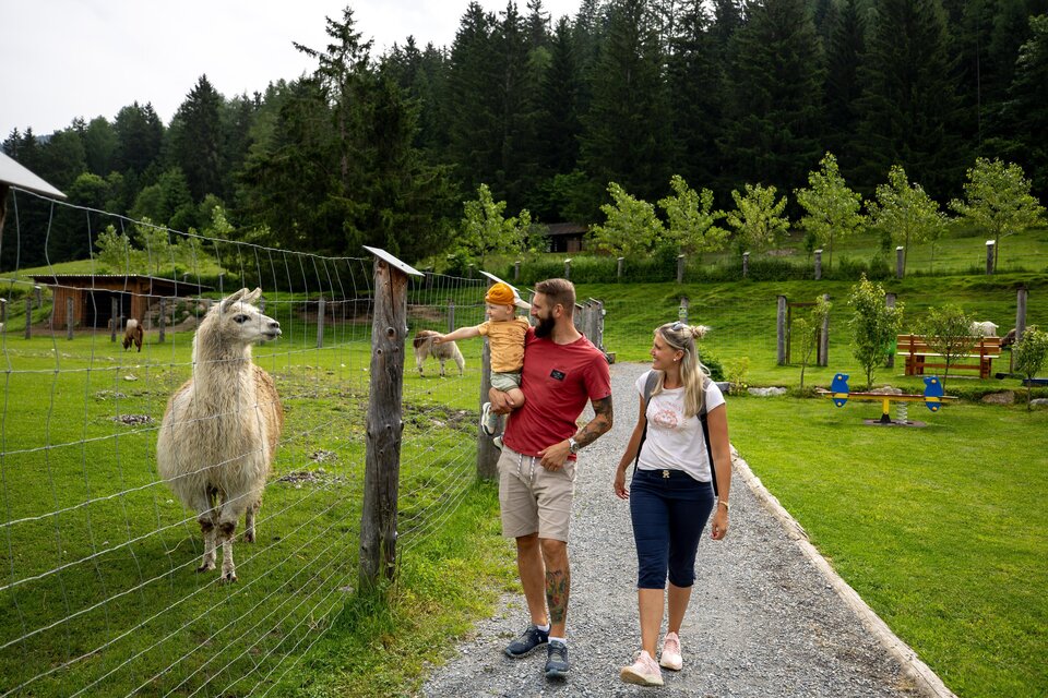 Tierpark und Erlebnisbauernhof Scheifling - Impression #1 | © Tourismusverband Murau