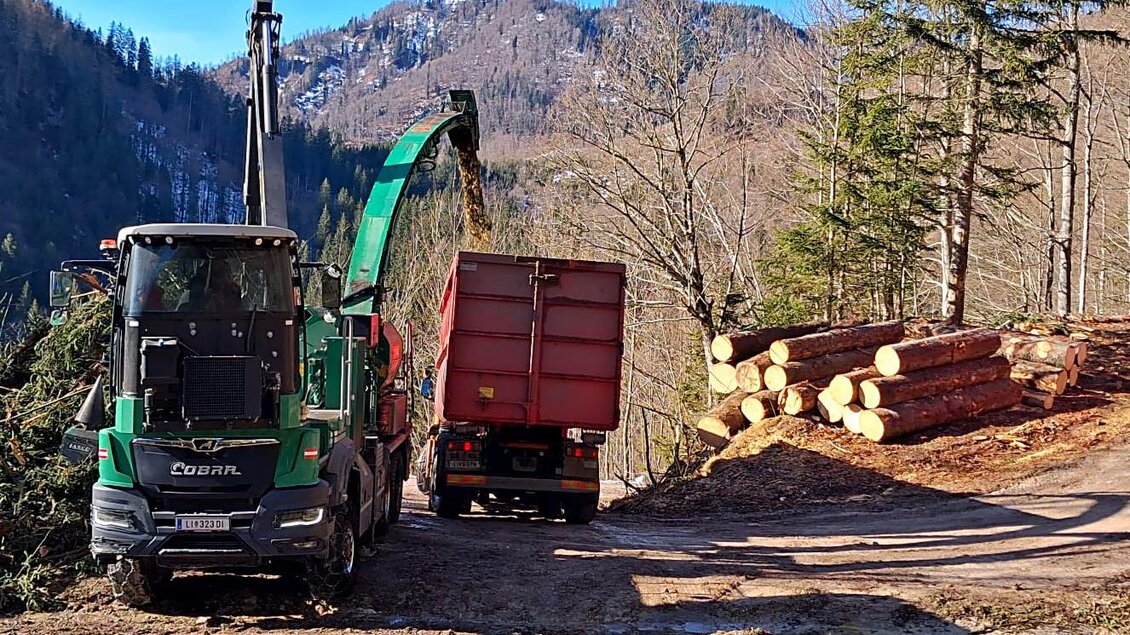 Ein Holzerntefahrzeug steht am Waldrand und lädt Holzstämme auf einen Lastwagen. Im Hintergrund sind Bäume und Hügel zu sehen.