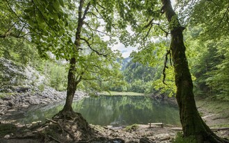 Traun-Ursprung, Grundlsee, Berge