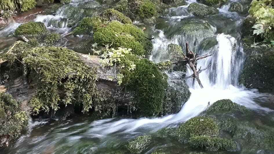 Kleiner Wasserfall | © Sigrid Pirker