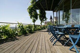 Vinothek Steiermark | © Thermen- & Vulkanland
