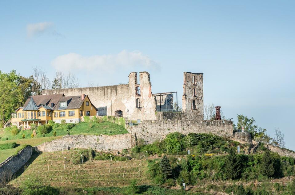 Voitsberger Schlossberg - Impression #1 | © Lipizzanerheimat - Die Abbilderei