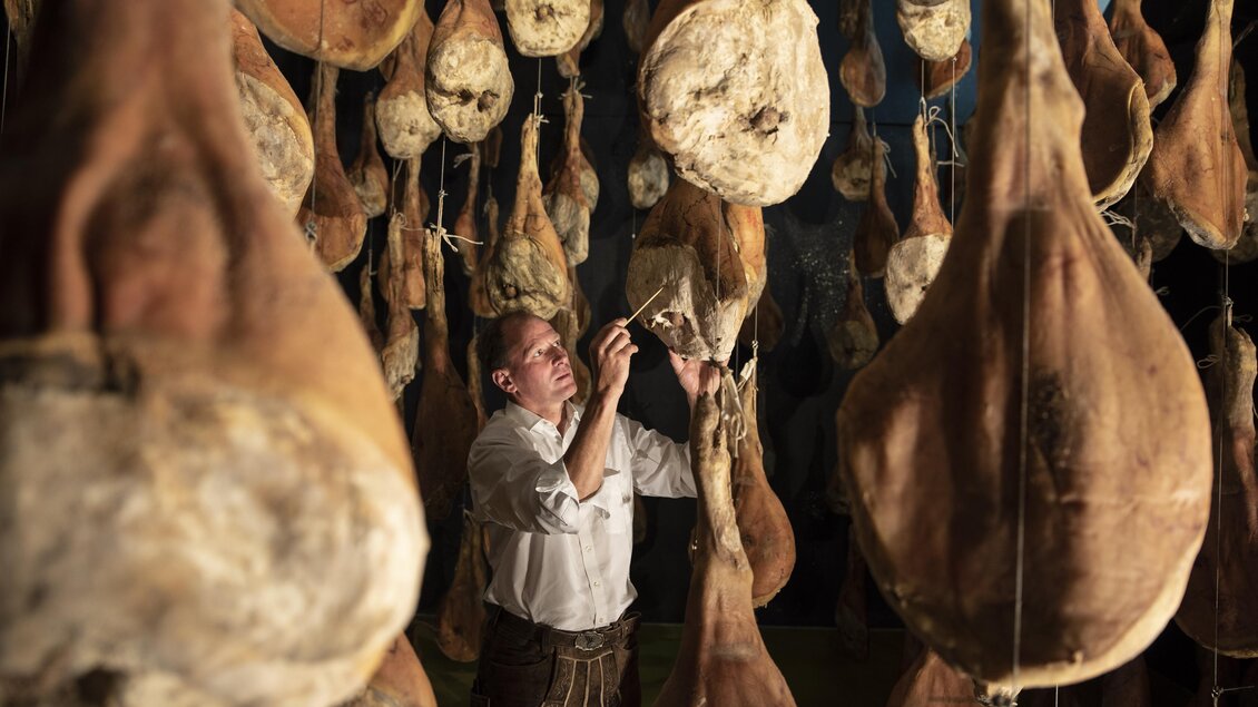 Ein Handwerker überprüft sorgfältig die Schinken, die hängend in einem Lagerraum gereift sind. Die Umgebung ist mit zahlreichen Schinken gefüllt, die in verschiedenen Größen hängen.