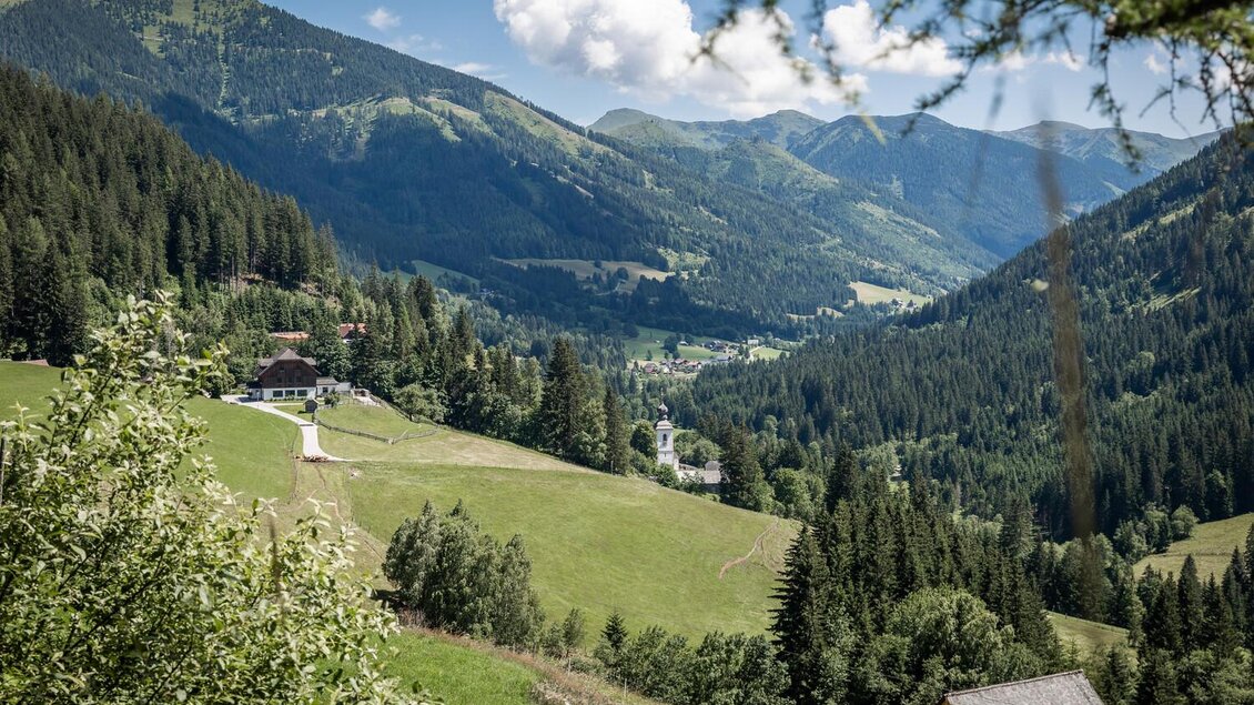 Eine idyllische Berglandschaft mit sanften Hügeln und dichten Wäldern. Im Hintergrund sind hohe Berge und ein klarer blauer Himmel zu sehen. | © TV Gesäuse