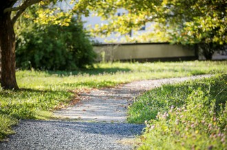 Weg zum wilden Früchtchen | © Rogner Bad Blumau