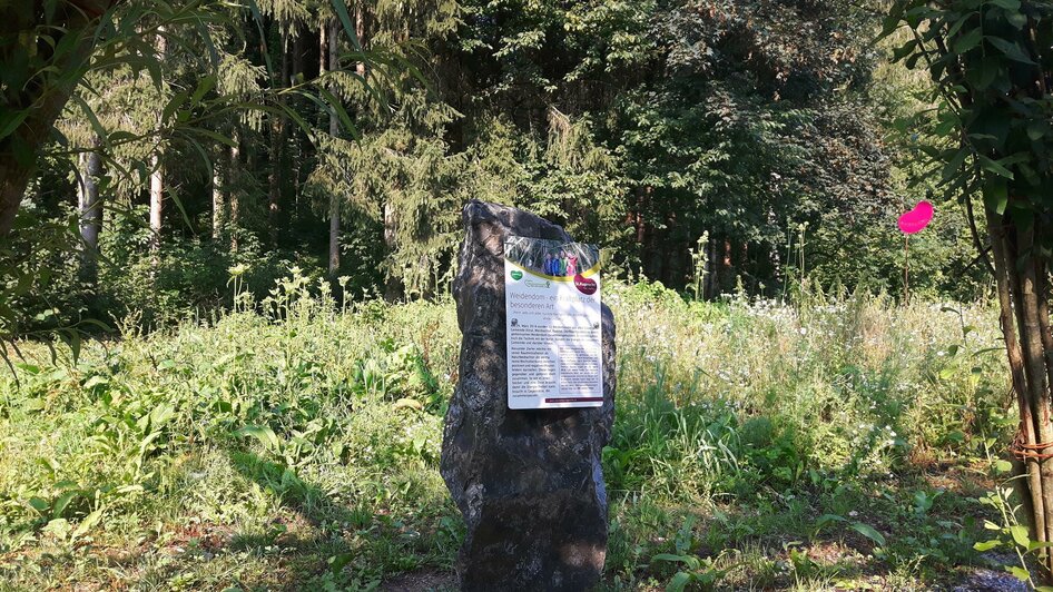 Weidendom_Infotafel_Oststeiermark