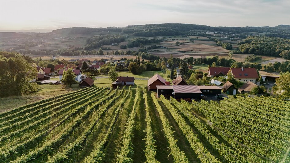 Ausblick | © Weingut Hopfer
