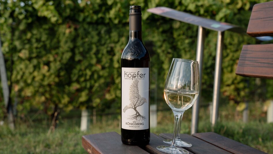 sosocial_Hopfer-099