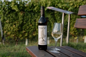 sosocial_Hopfer-099