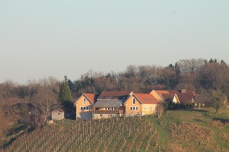 Weinbau Kahr in Fehring | © Martin Kahr