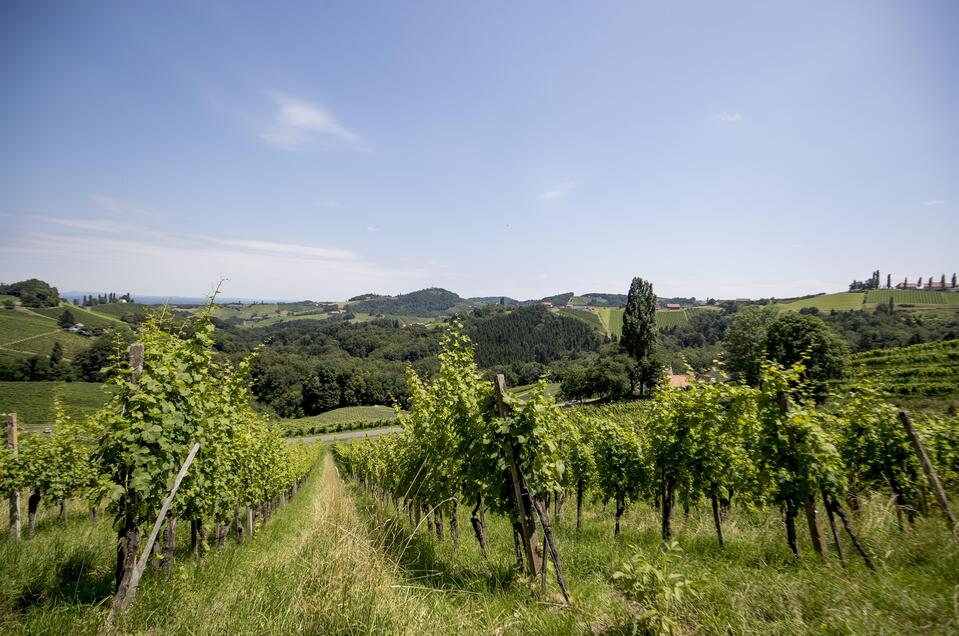 Weinbau Teltscher Rainer - Impression #1 | © tom lamm