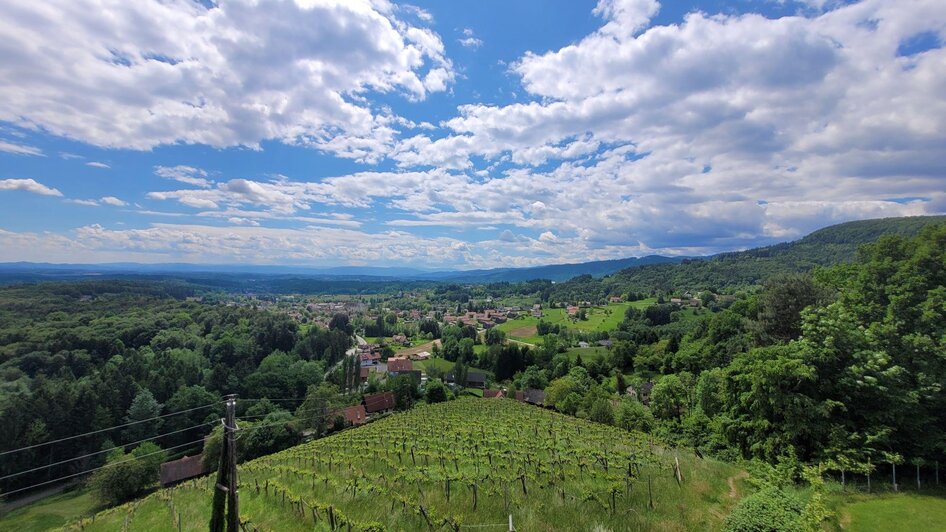 Weinbergwarte Bad Gams - Impression #2.1