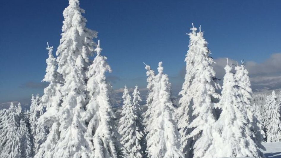 Tiefschnee | © TV Südsteiermark