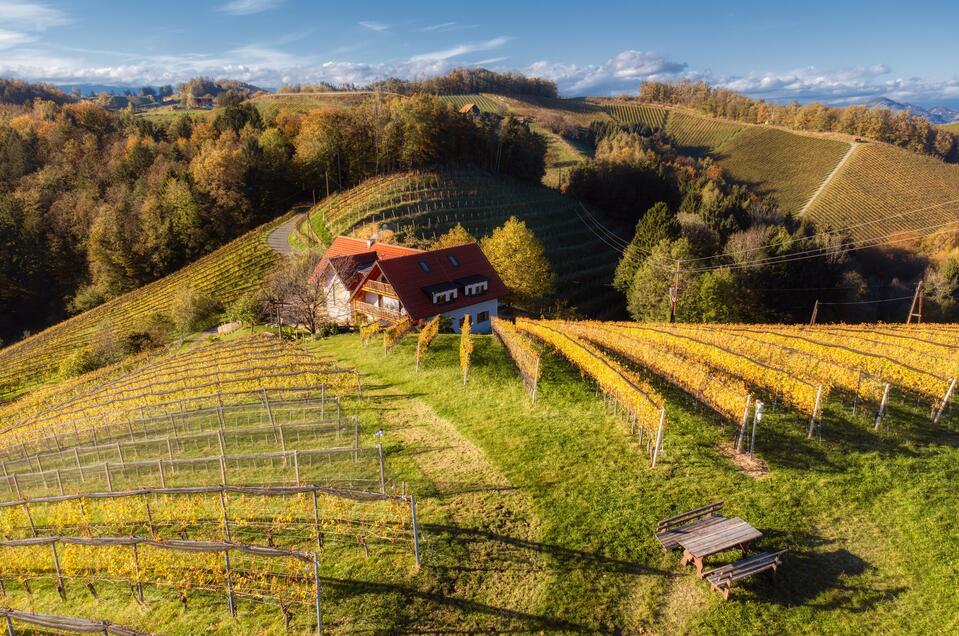 Weingut Adam Amandus & Carmen - Impression #1 | © Carmen Adam