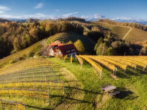 Weingut Adam Amandus | © Carmen Adam