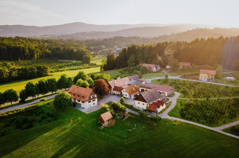 Weingut Der Krainerhof - Impression #1 | © Krainerhof