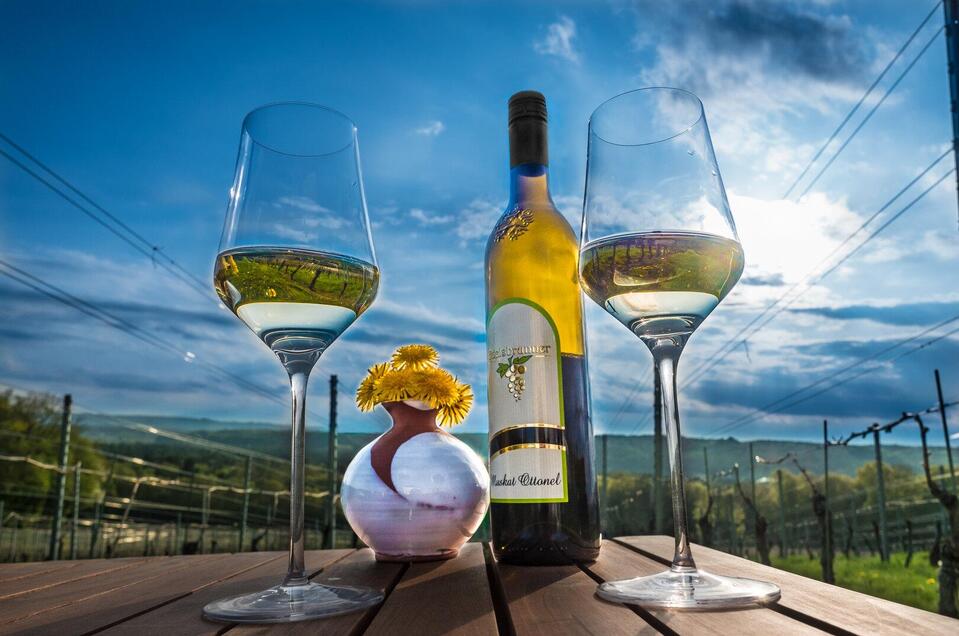 Weingut Edelsbrunner in Straden - Impression #1 | © www.luftbildbaustelle.at