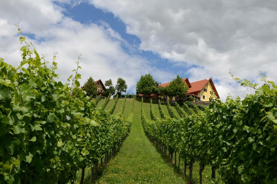 Weingut Fellner - Impression #1 | © Roswitha & Andreas Fellner | Weingut Fellner