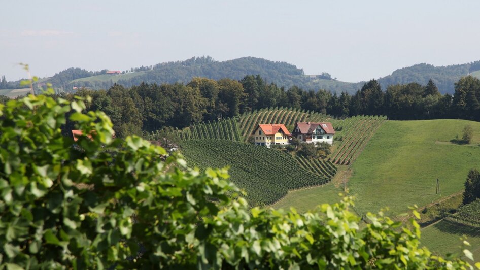 Weingut Gaube Hausansicht | © Melanie & Patrick Gaube