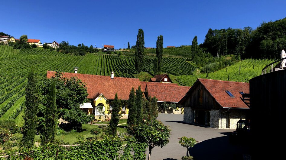 Blick_Weingut_Winzerhaus