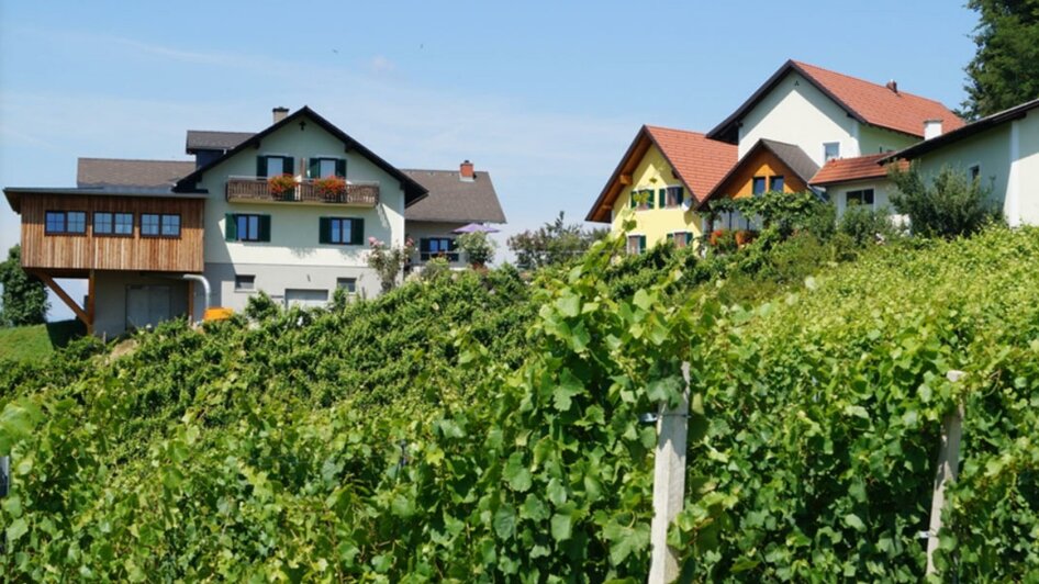 Weingut | © Weingut Hernach vlg. Roschitz l Sandra Hartl