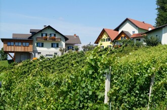 Weingut | © Weingut Hernach vlg. Roschitz l Sandra Hartl