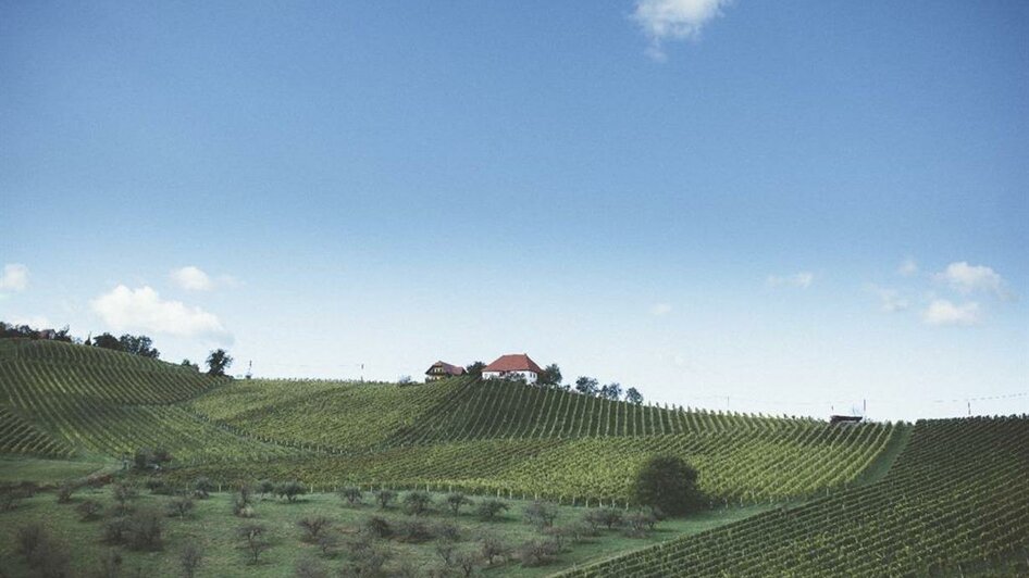 Weingut Kögl am Stermetzberg | © Weingut Kögl